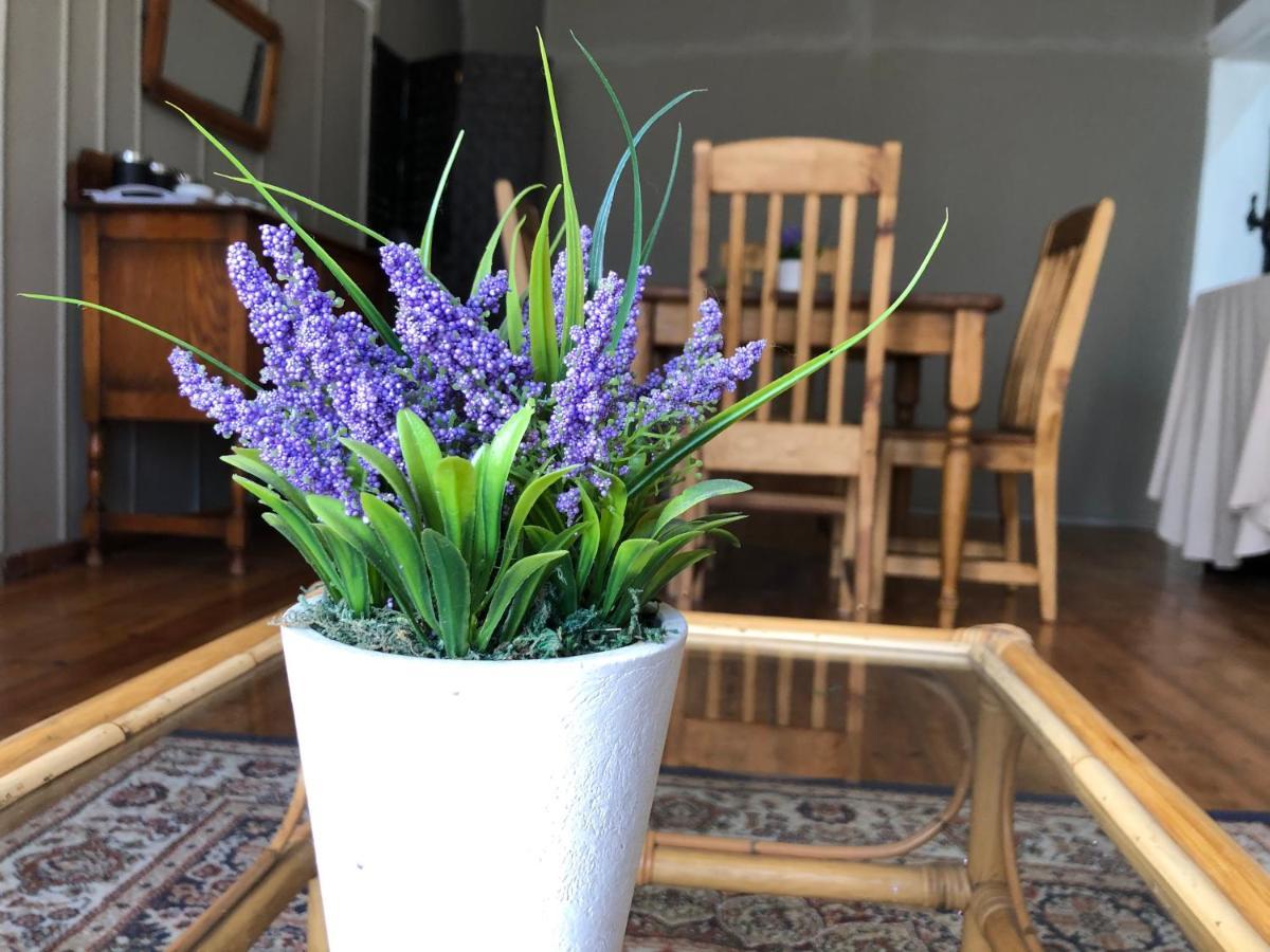 The Lavender Guesthouse 크론스타드 외부 사진